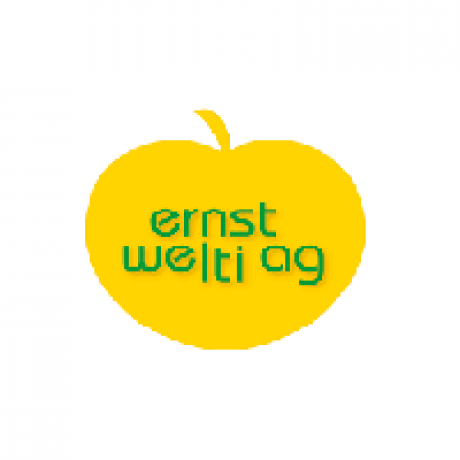 Logo Ernst Welti AG