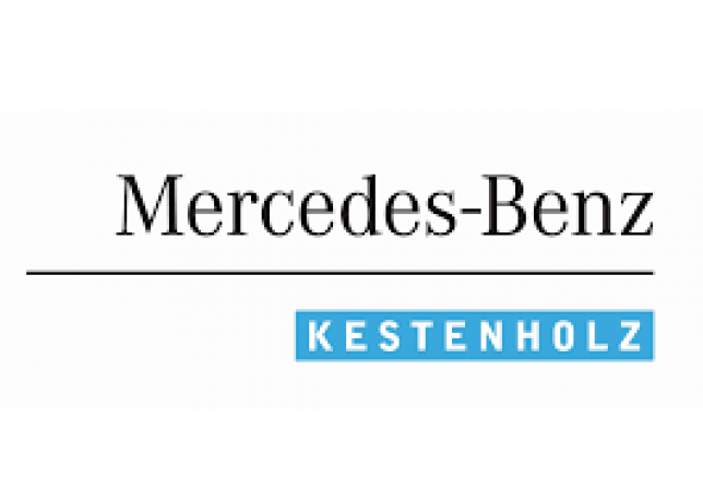 Logo Kestenholz Gruppe Schweiz