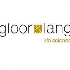 Gloor & Lang Ag