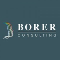 BORER CONSULTING
