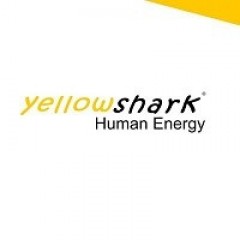 Yellowshark
